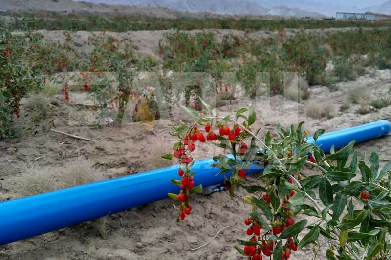 格爾木河西農場PVC-O管灌溉項目